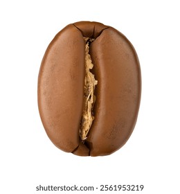 Roasted coffee bean mockup isolated on white background. Realistic vector illustration. Ready for your design. EPS10.