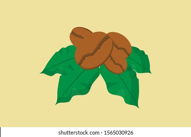 Roasted coffee beans on the green leaves of coffee tree