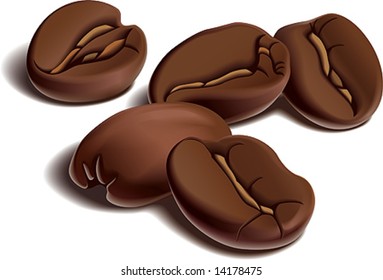 Roasted coffee beans on white background. Vector illustration.