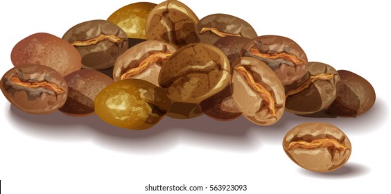 Roasted coffee beans on a white background. Vector Image.