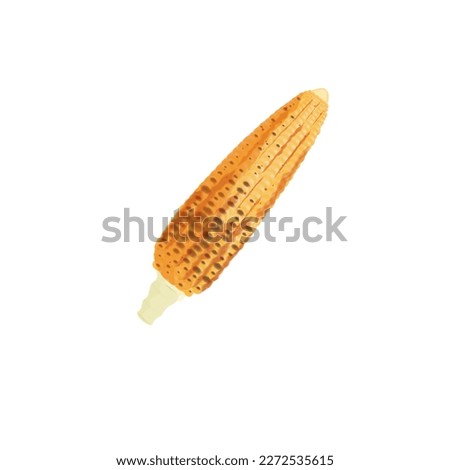Roasted Corn Simple Illustration Logo On White Background