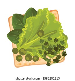 Roasted Multigrain Bread with Lettuce and Spinach Vector Illustration