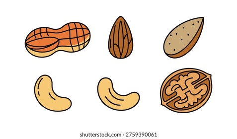 Roasted Nuts Line art vector clean fresh abstract illustration