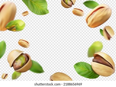 Roasted pistachios with green leaves on a transparent background. Vector illustration.