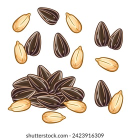 Roasted sunflower seeds snack food, heap sun flower plant kernel in shell or peeled icon set. Pile fresh grain. Vegetable oil nutrition ingredient. Natural healthy cereal eating product vector drawing