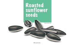Roasted Sunflower Seeds. Vector Image. Striped Seed. Useful Eco Product.