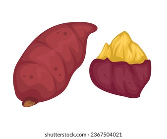 Roasted Sweet Potato Food Cartoon illustration Vector