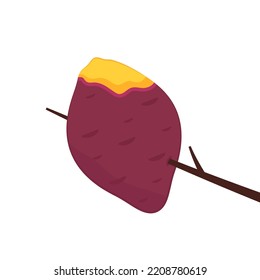 Roasted sweet potato. Roasted sweet potato logo design. Japanese Sweet potato.