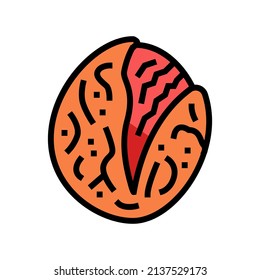 roasted tomatoes color icon vector. roasted tomatoes sign. isolated symbol illustration