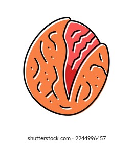 roasted tomatoes color icon vector. roasted tomatoes sign. isolated symbol illustration