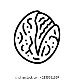 roasted tomatoes line icon vector. roasted tomatoes sign. isolated contour symbol black illustration