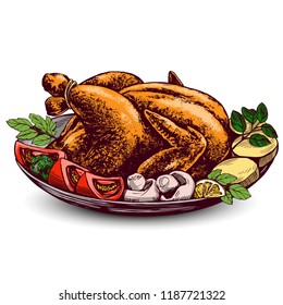 Roasted turkey, chicken,with ingredients hand drawn vector illustration sketch