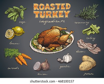 Roasted turkey with ingredients free hand colorful drawing, sketch style. Dark background