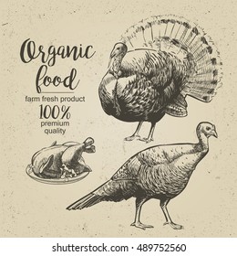 Roasted Turkey - Vector Engraved Illustration In Vintage Style