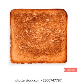 Roasted wheat toast bread with bran sliced isolated on white background. Close-up of toast. Top view