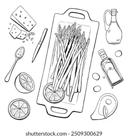 Roaster Asparagus Food Ingredients for Cooking Recipe. Vector Sketch Illustration Set