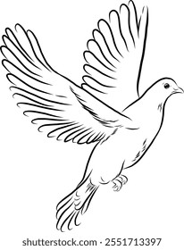 Robbin dove peace flying.Hand drawn ink vector illustration.