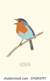 Robin bird. Abstract vector illustration of the bird. Hand drawn textures,