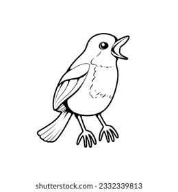 Robin Bird Black and White Vector Line Art