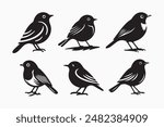 robin bird bundle silhouette vector illustration