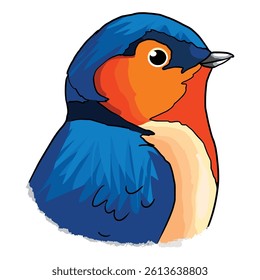 Robin bird colorful vector illustration