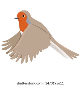 Robin bird in flight isolated on a white background. Vector graphics.