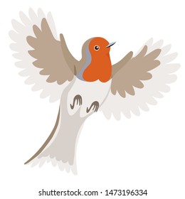 Robin bird in flight isolated on a white background. Vector graphics.