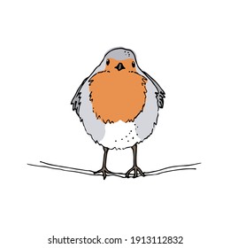 Robin bird hand drawn vector illustration, The European robin colored sketch, isolated on white background