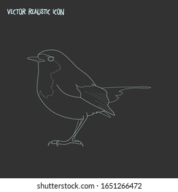 Robin bird icon line element. Vector illustration of robin bird icon line isolated on clean background for your web mobile app logo design.