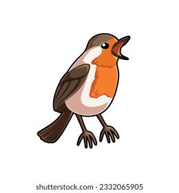 Robin Bird isolated white background, vector animal cartoon illustration