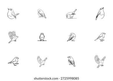 Conjunto de arte de línea de pájaro Robin con contornos limpios y Ilustración vectorial de múltiples poses naturales.