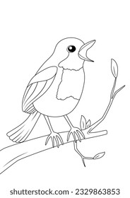 Robin Bird on the twig, coloring page for kids, vector black and white line drawing isolated white background