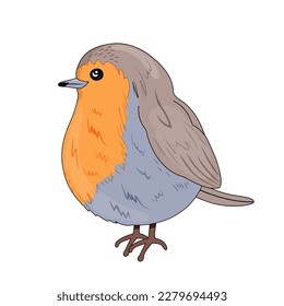 Pájaro Robin de color naranja y azul en estilo de caricatura. Un animal de plumas que vive en el bosque. Nido. Ilustración de material vectorial. aislado. Fondo blanco. dibujado a mano