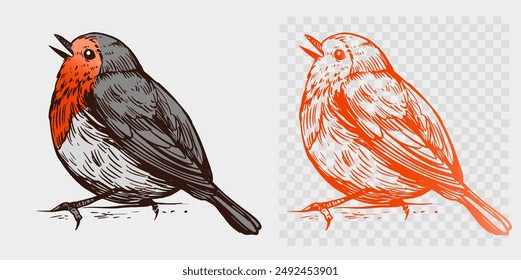 Robin bird, realistic sketch, hand drawn vector illustration