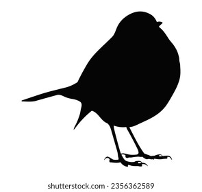 Robin bird vector illustration, black silhouette, profile view.