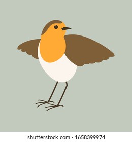 ave robin, ilustración vectorial, estilo plano, vista frontal