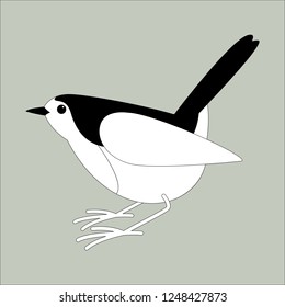 robin bird vector illustration,  lining draw ,profile view