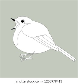 robin bird ,vector illustration ,   lining draw ,profile view