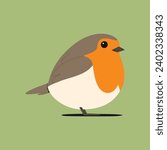Robin bird. Vector illustration of a robin on a green background.