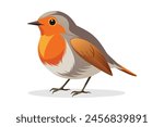 Robin flat vector illustration on white background.