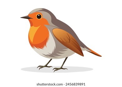 Robin flat vector illustration on white background.