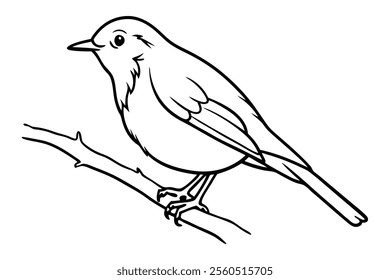 Robin line art vector illustration