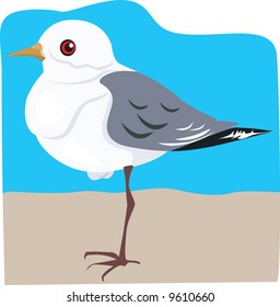 robin magpie standing one-legged n a brown surface beyond sky blue back ground	