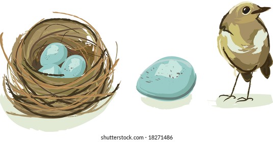 Robin nest, egg, and baby bird together in one vector illustration