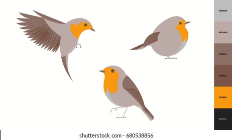 Robin Vector Illustration