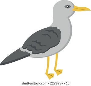 robin Vector illustration on a transparent background. Premium quality symbols.  Icons for concept and graphic design.