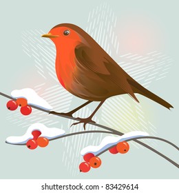 Robin and winter berries on a snowflake background