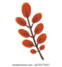 Robinia tree leaf with 9 oval red leaflets. Isolated vector illustration of pseudoacacia tree leaves