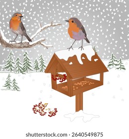 Robins at a bird feeder in a snowy forest landscape watercolor vintage vector illustration hand draw