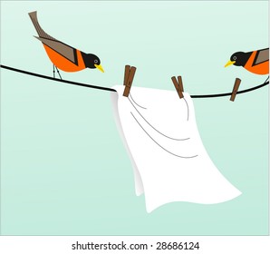 robins on the washline